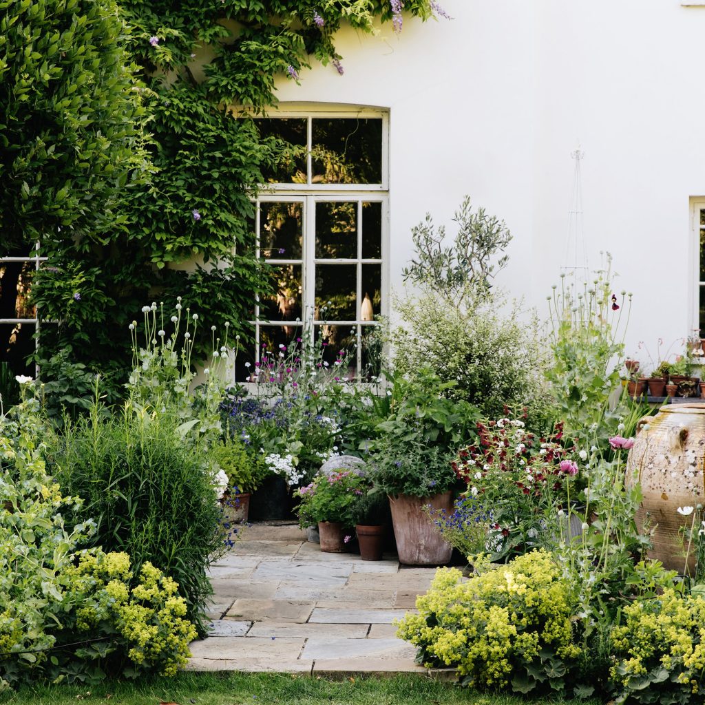 éclairage de jardin et de paysage