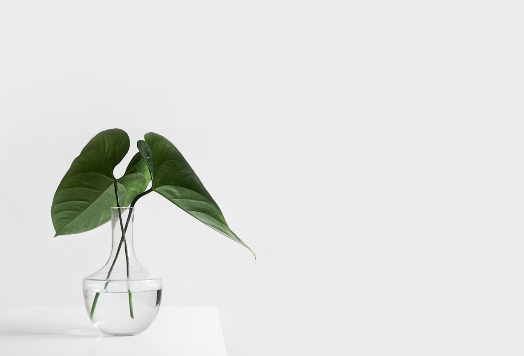 Lampe murale en verre américain: élégance et style